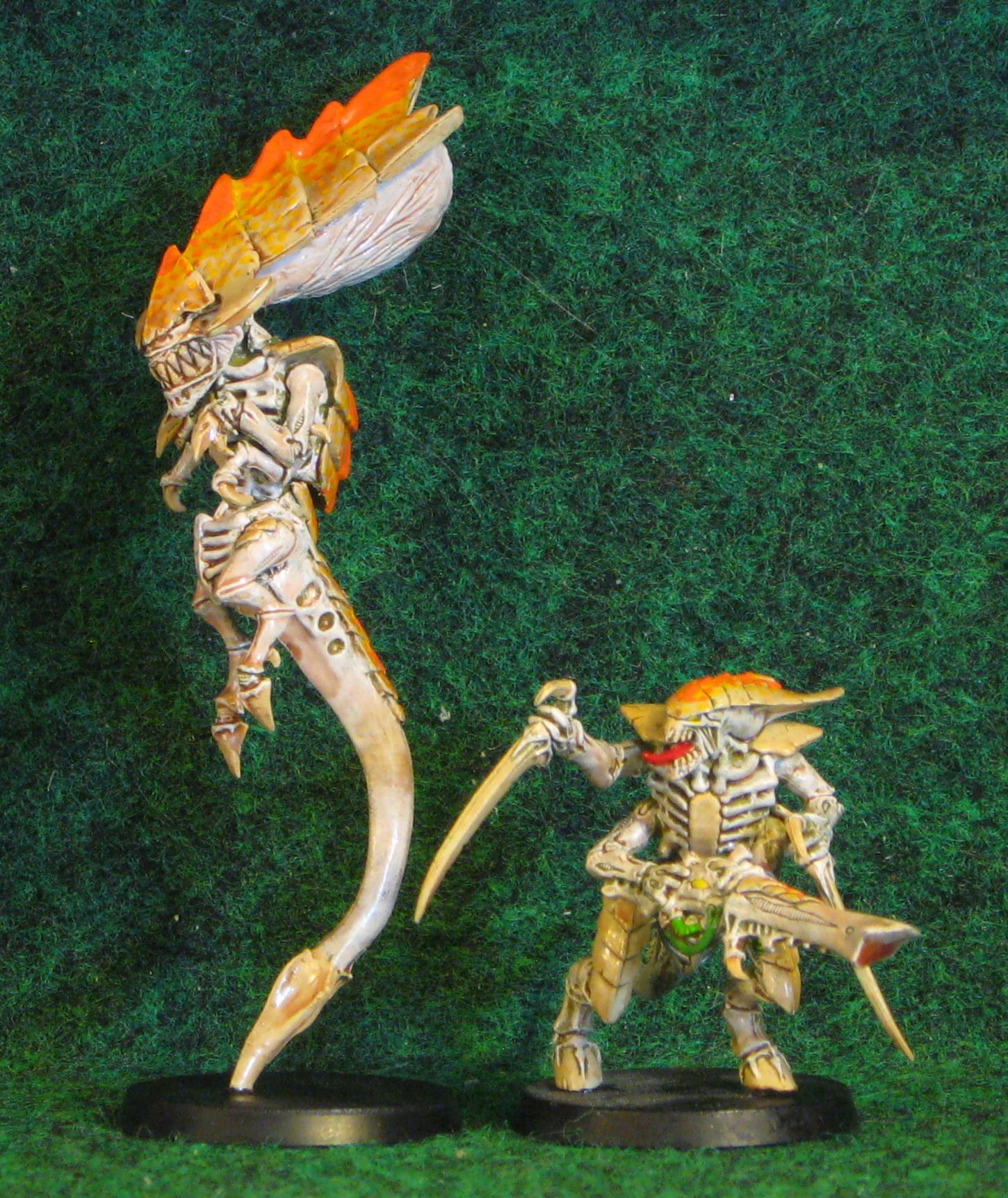 Tyranids, Warhammer 40,000  Gallery  DakkaDakka